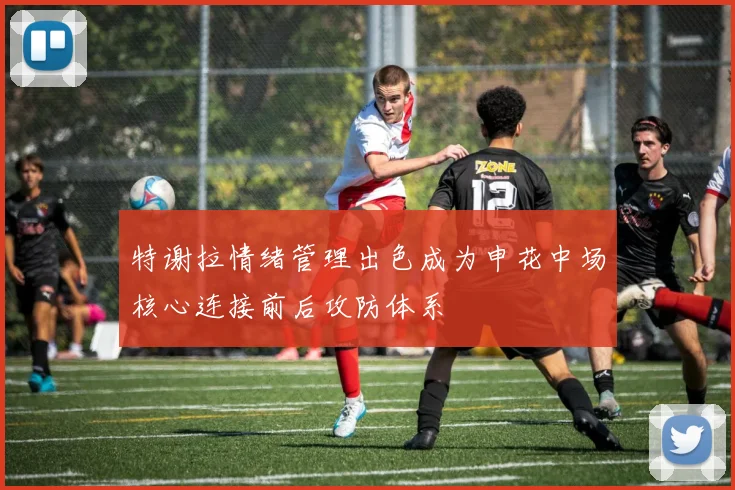 特谢拉情绪管理出色成为申花中场核心连接前后攻防体系