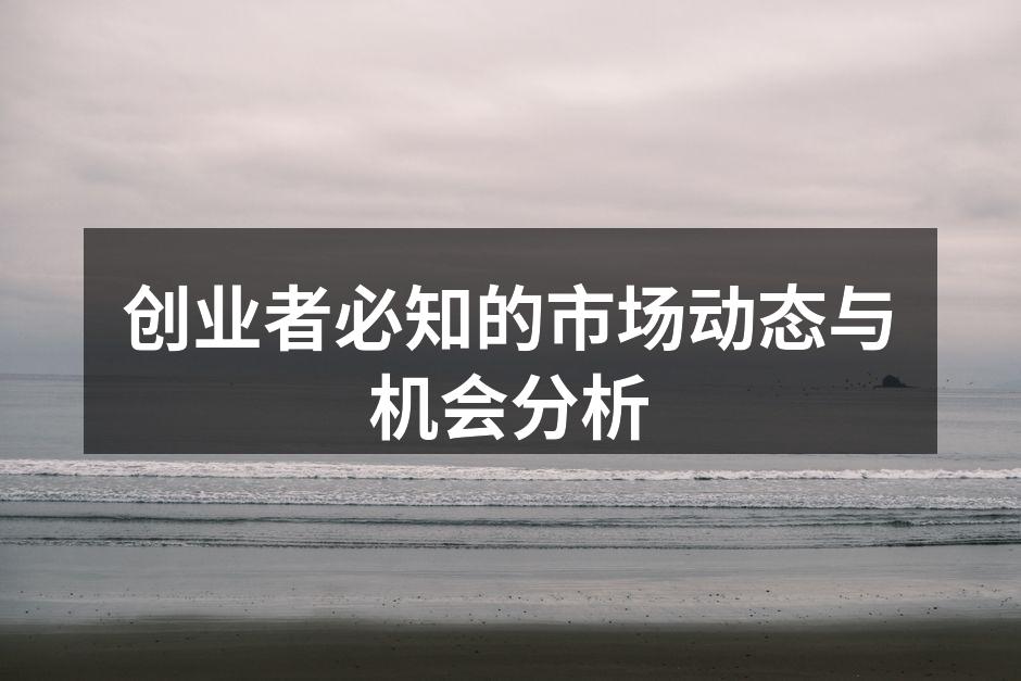 创业者必知的市场动态与机会分析