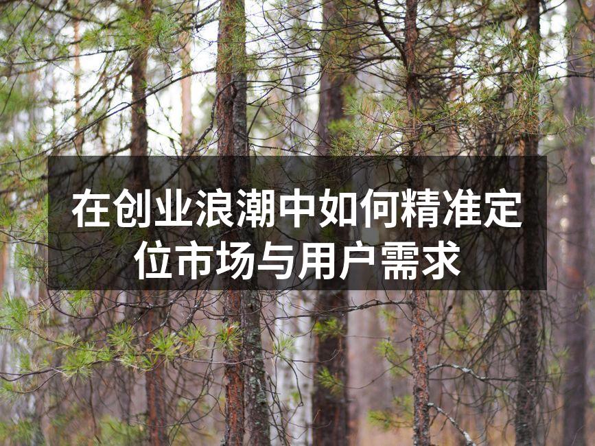 在创业浪潮中如何精准定位市场与用户需求