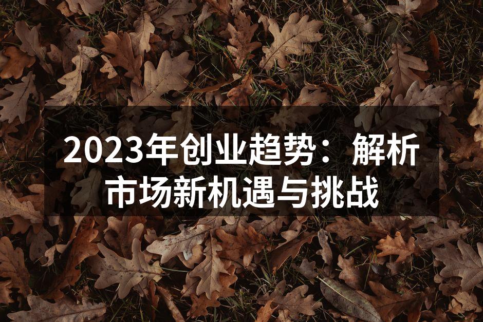 2023年创业趋势：解析市场新机遇与挑战