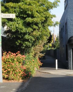 Oban St walk DSC_4962