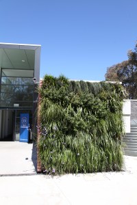 TH King Pavilion green wall